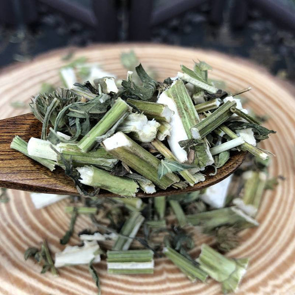 Fresh Chinese Herbal Tea Motherwort Soaked in Water Leonurus Japonicus Yimucao