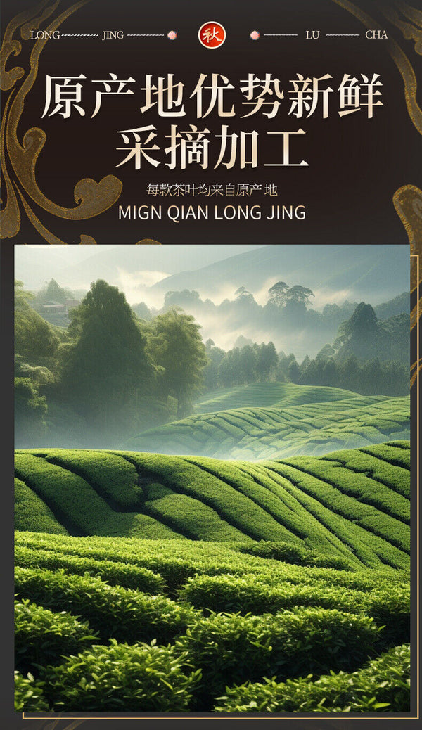 Mingqian Longjing Green Tea 2025 New Spring Tea Gift Box Small Can
