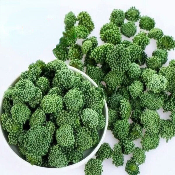 HelloYoung Chinese Ecology Sanqi Herbs Tea Health Care Notoginseng Flower Herbal Tea 250g