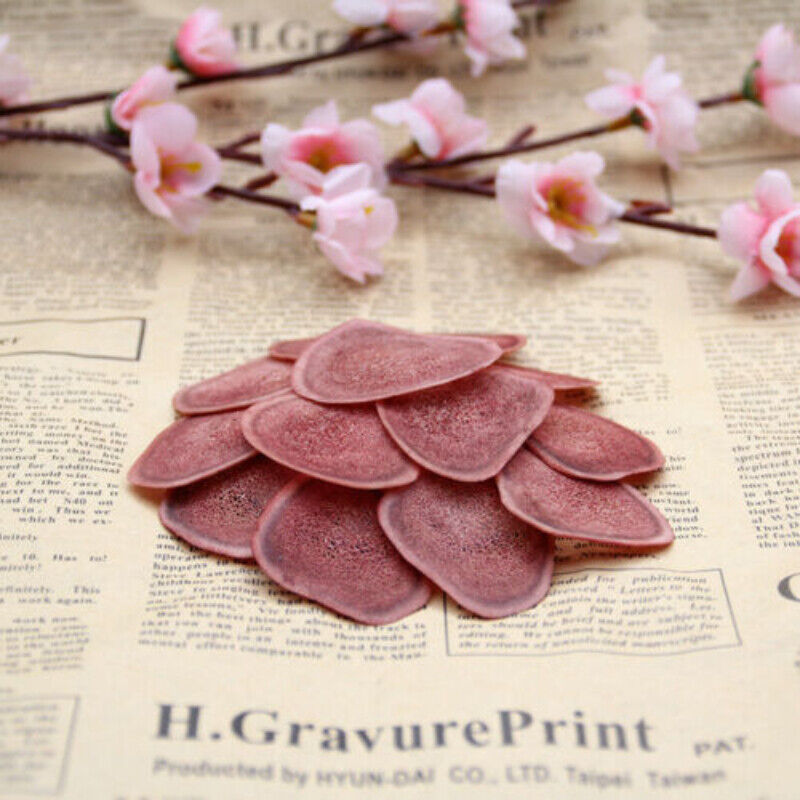 HelloYoung 100% Ecology Cartialgenous Slices Lu Rong Herb for Men Chinese Herbal Medicine