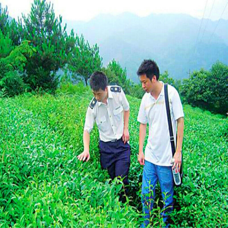 HelloYoung 357g Yunnan Ripe Pu Erh Tea Early Spring Puer Tea Green Food Factory Direct Sale