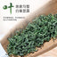 Yixing Maojian Green Tea Fresh Green Tea New Tea 50g