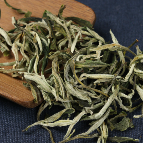 HelloYoung 500g loose tea early spring tea Cui Ming new tea Yunnan green healthy tea