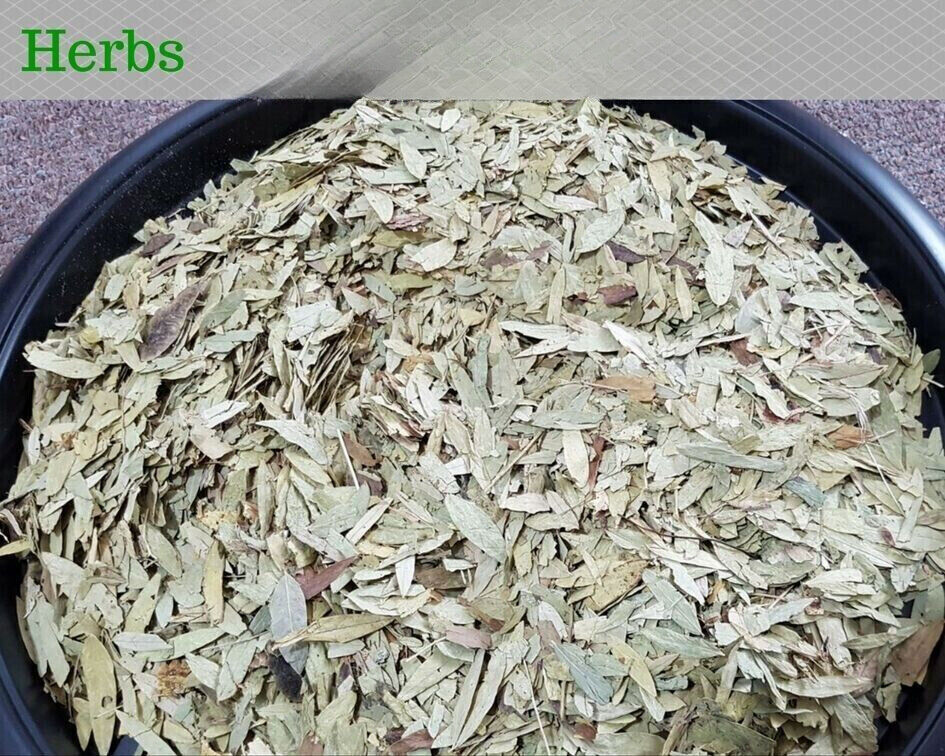 SENNA LEAVES Tea NATURAL Leaf PURE Dried Herb 100% Premium Herbal Teas FREE POST Main image