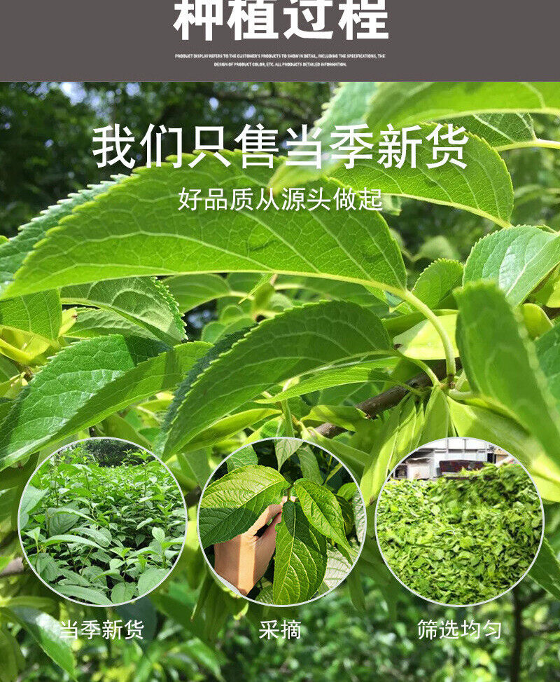 Zhangjiajie Cortex Eucommia Leaf Bulk Cortex Eucommia Herbal Tea 500g