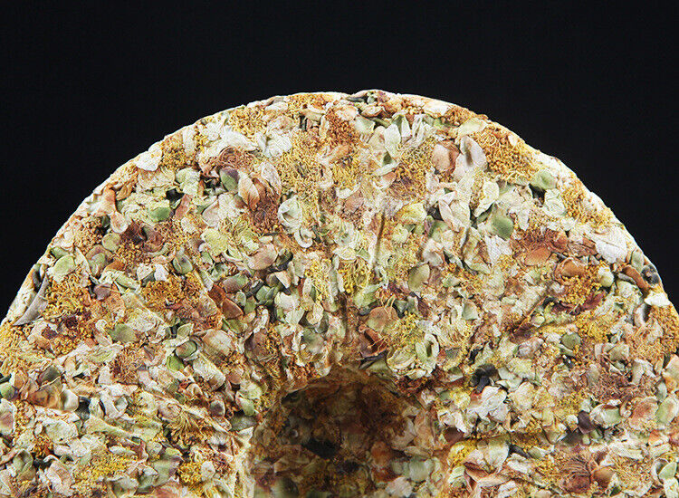 HelloYoung Pu-erh Tea Cake Raw Tea 357g Tea Flower Pu-erh Cake 谷花普洱茶饼生茶357g茶花普洱饼大雪山茶区普洱茶叶