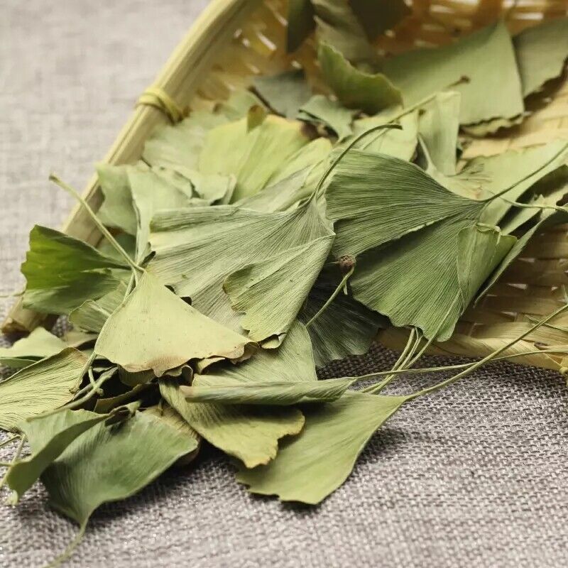 Natural Dried Gingko Biloba Tea Dry Green Gingko Healthy Herbal Gingko Tea 500g