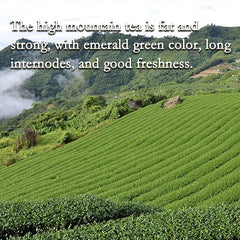 Premium Loose Leaf organic Oolong Tea Taiwan Organically Grown Jin Xuan 250g