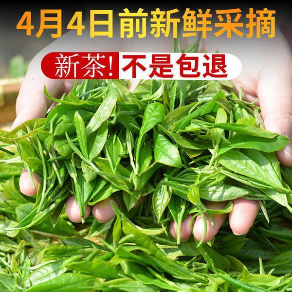 HelloYoung Xinyang Maojian Chinese green Tea Packing High Quality Mao Jian Tea 250g