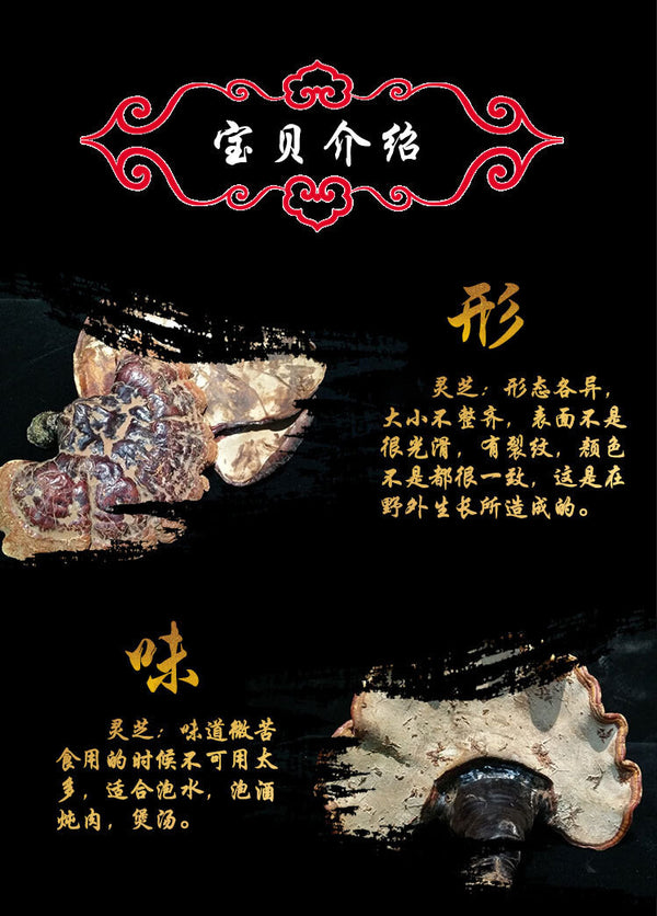 Black and Purple Reishi Mushroom Gift Box Whole Stem Ginseng