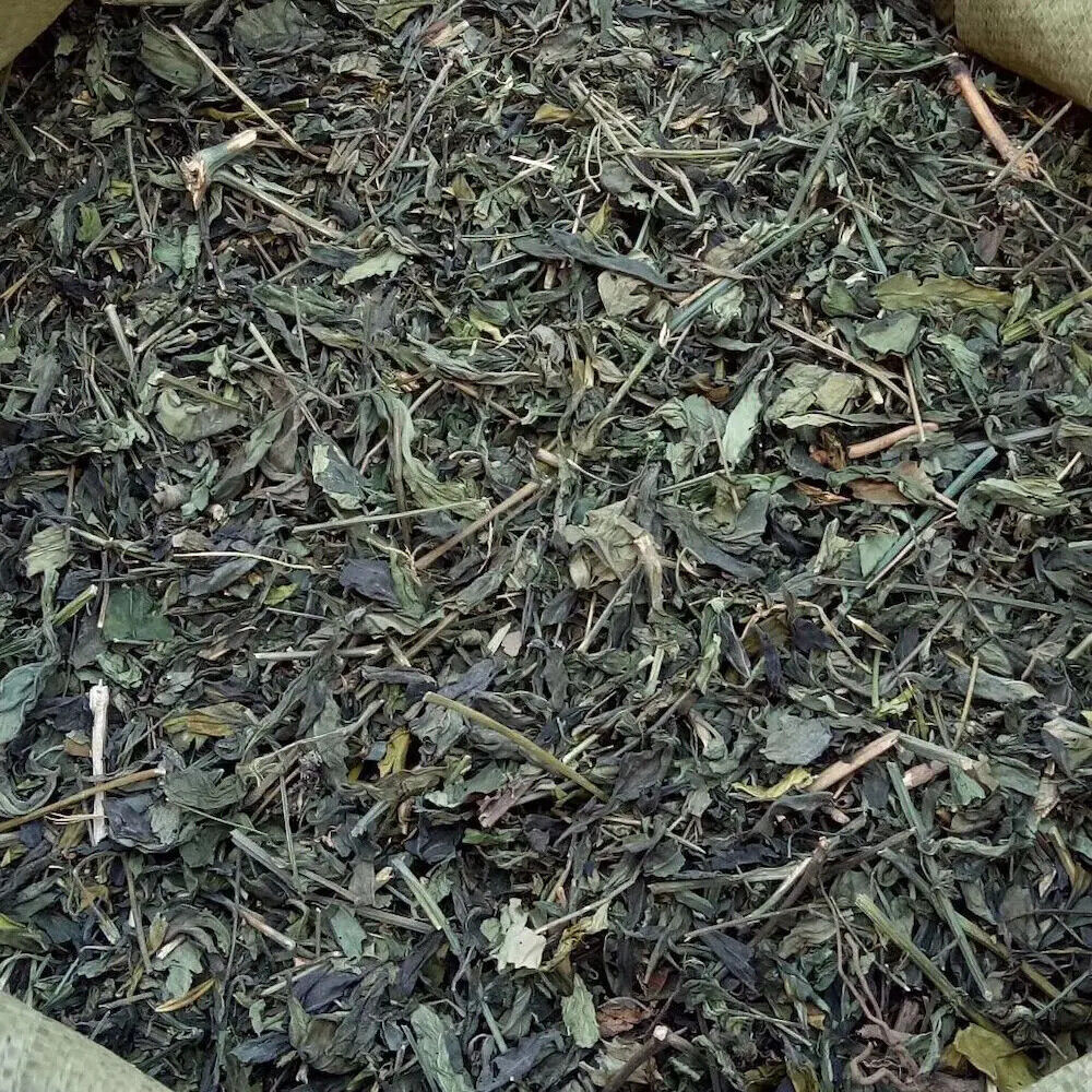 100% Organic Andrographis Paniculata Natural Herbs Cut Without Leaves Secondary image