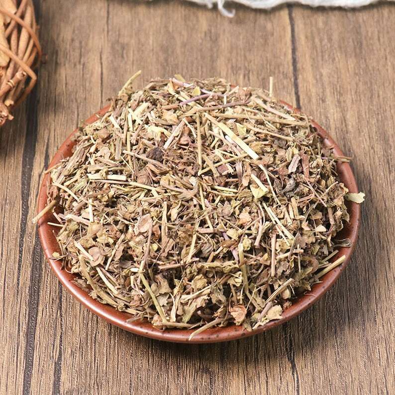Organic Herbal Veronica Peregrina Great Quality