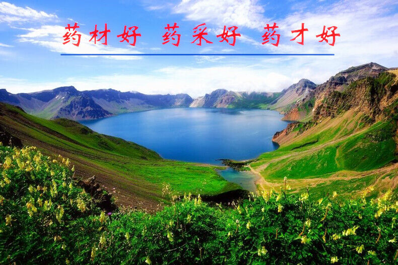 American Ginseng Slices Changbai Mountain High Quality Ginseng Slices 100g/can