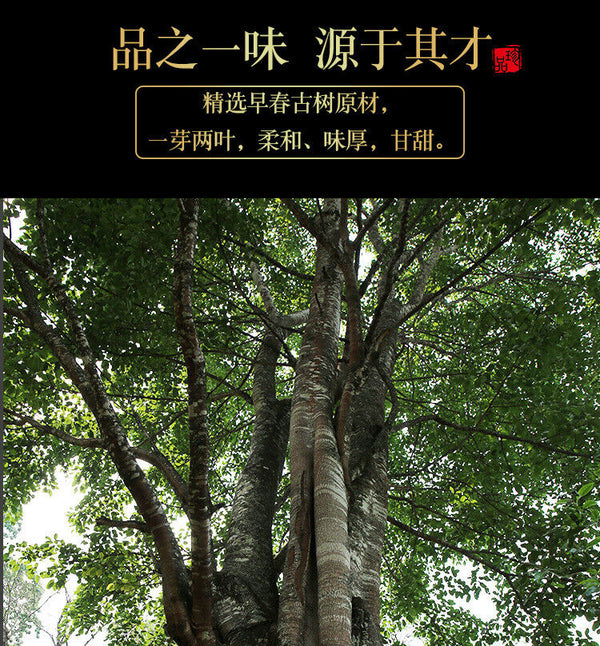 HelloYoung 300g Yunnan Pu'er Tea Iceland Gold Bar Old Tree Raw Tea Tea Leaf Raw Pu