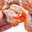 2023 Year New Great Quality Persimmon Fu Ping Shibing, Shi Bing