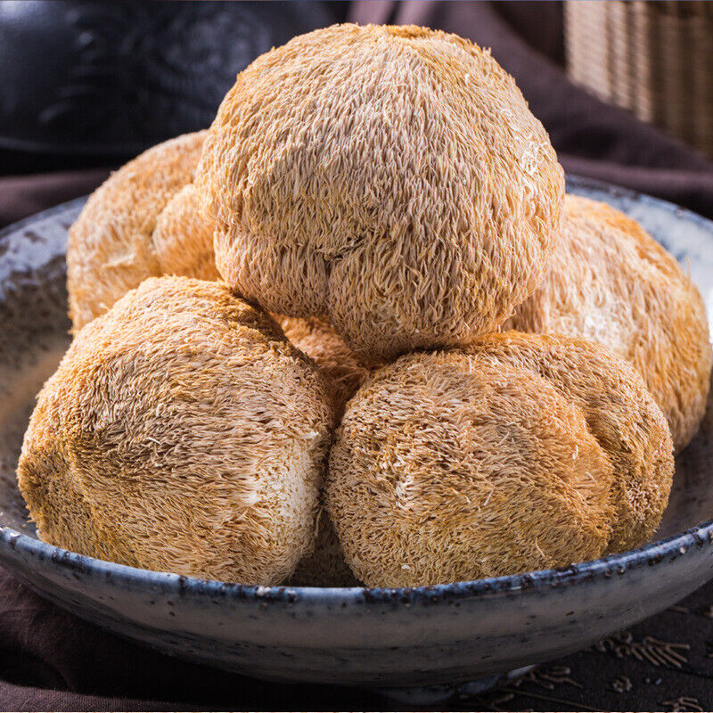 Fresh Dried Hericium Mushroom Sulfur-Free Loose Bulk Edible Fungi Main image