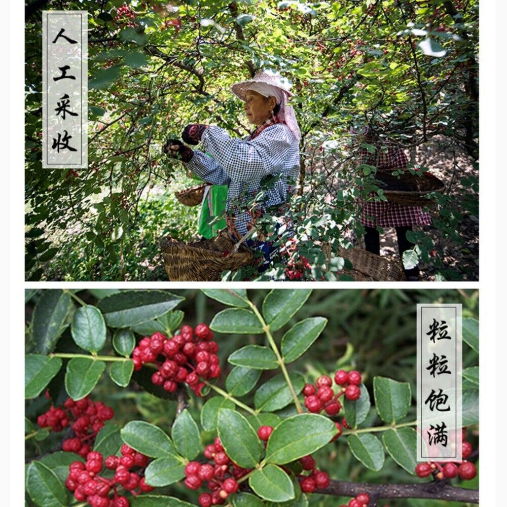 250g Sichuan Peppercorns Huajiao for Cooking Soups Red Pepper