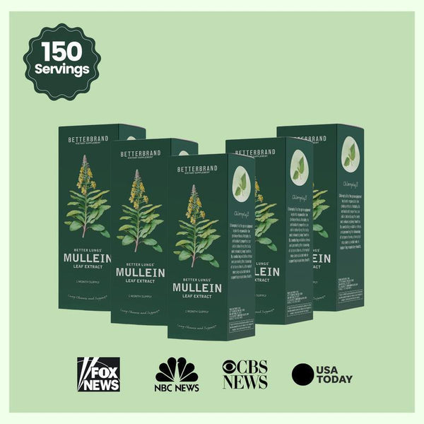 All-Natural Health Care Supplement Mullein Leaf Extract Drops