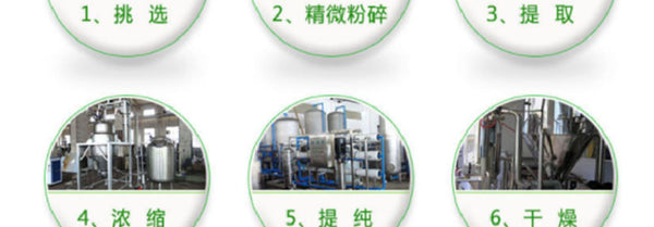 Ginkgo Biloba Extract Water Soluble Rich in Flavonoids Memory & Focus Support