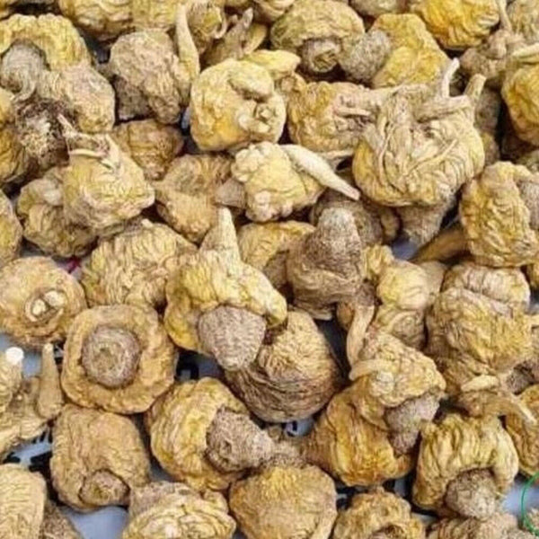 HelloYoung Medicine Maca Root Herbs Tea 100% Natural Wild Dried Maca Chinese Herbal 250g