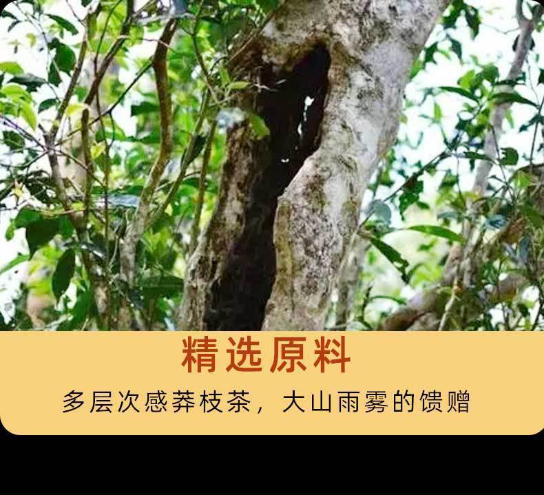 HelloYoung 357g Yunnan Tea Pu'er Raw Tea Savage Ancient Tree Pu'er Tea Pu'er Tea Cake