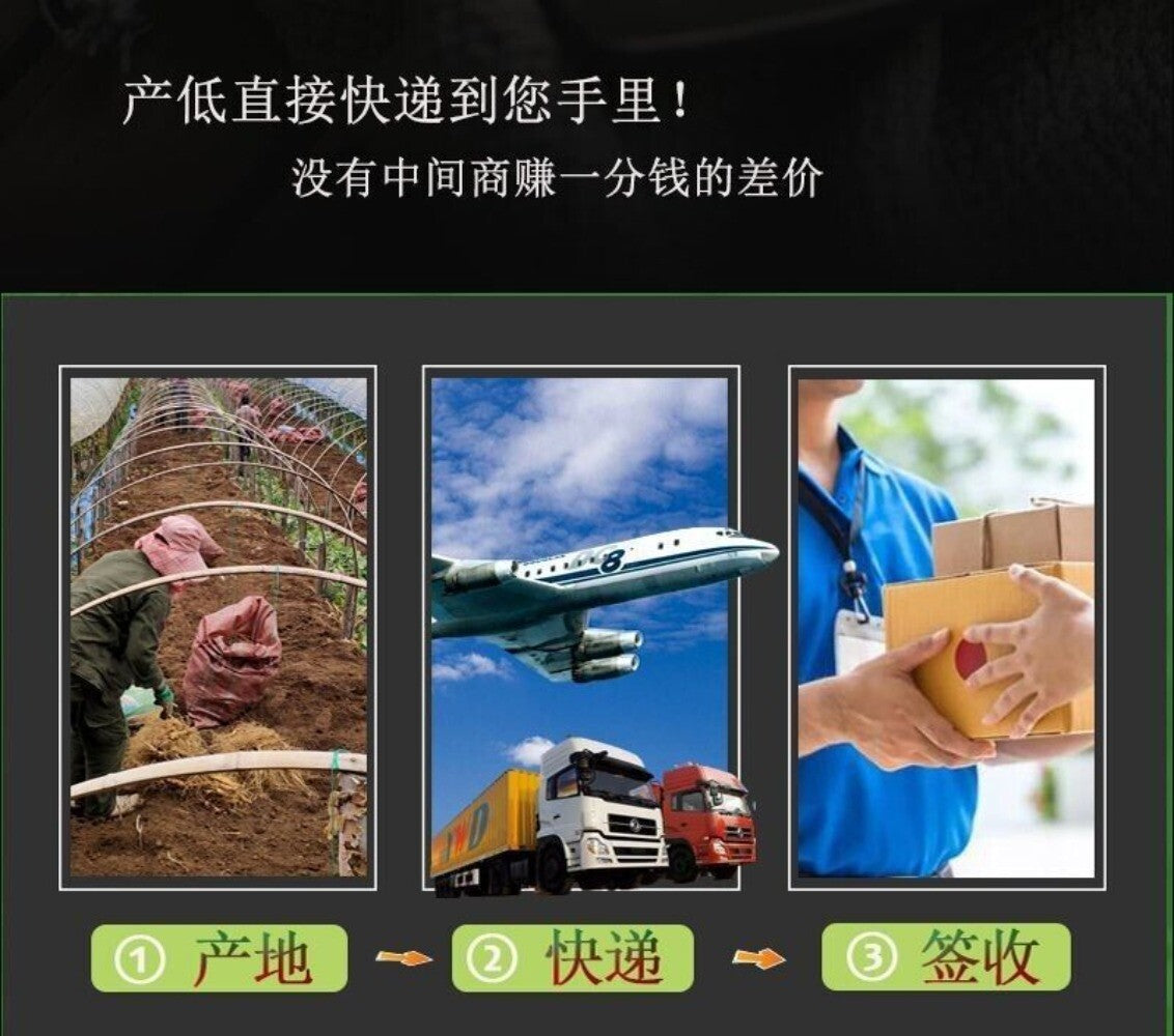 Jilin Changbai Mountain White Ginseng Powder 100% Pure Premium Natural