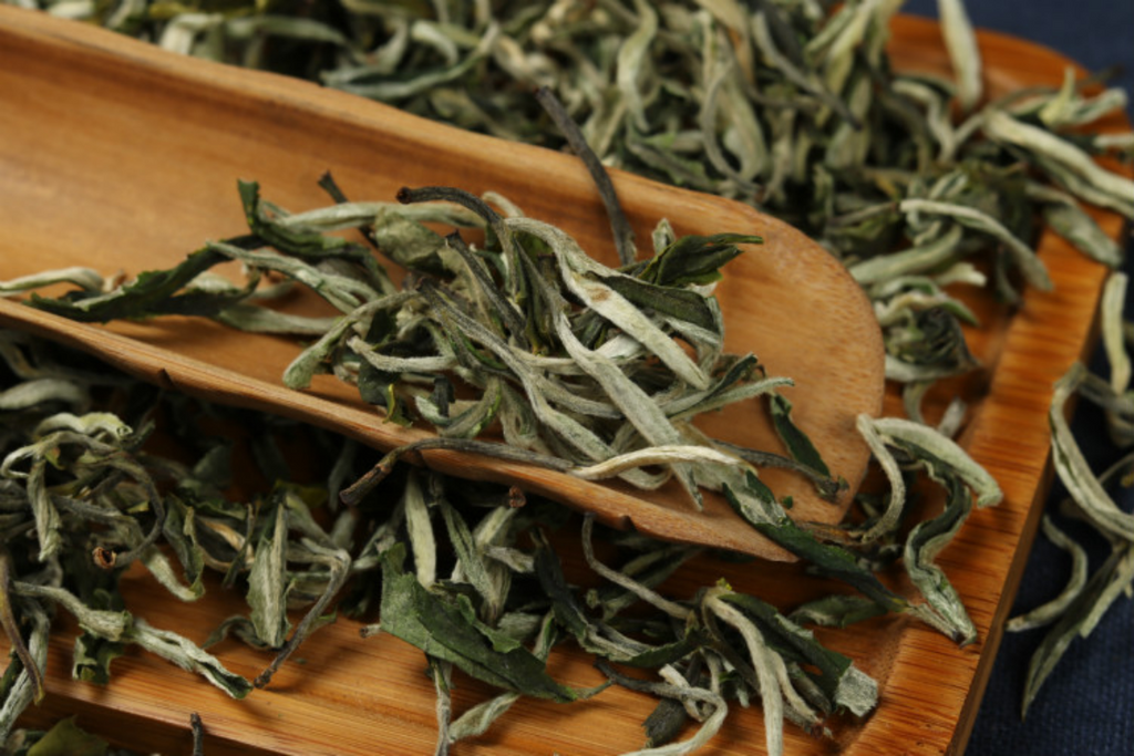 HelloYoung 500g loose tea early spring tea Cui Ming new tea Yunnan green healthy tea