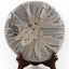 HelloYoung 357g Lao Tong Zhi 7978 Haiwan Old Comrade Puer Tea Cake Ripe Pu-erh Shu Tea
