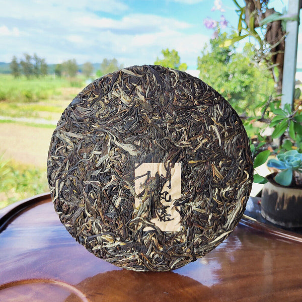 HelloYoung Scraping Walled Pu'er Tea Cake Yiwu Ancient Tree Raw Tea First Spring Yunnan Tea