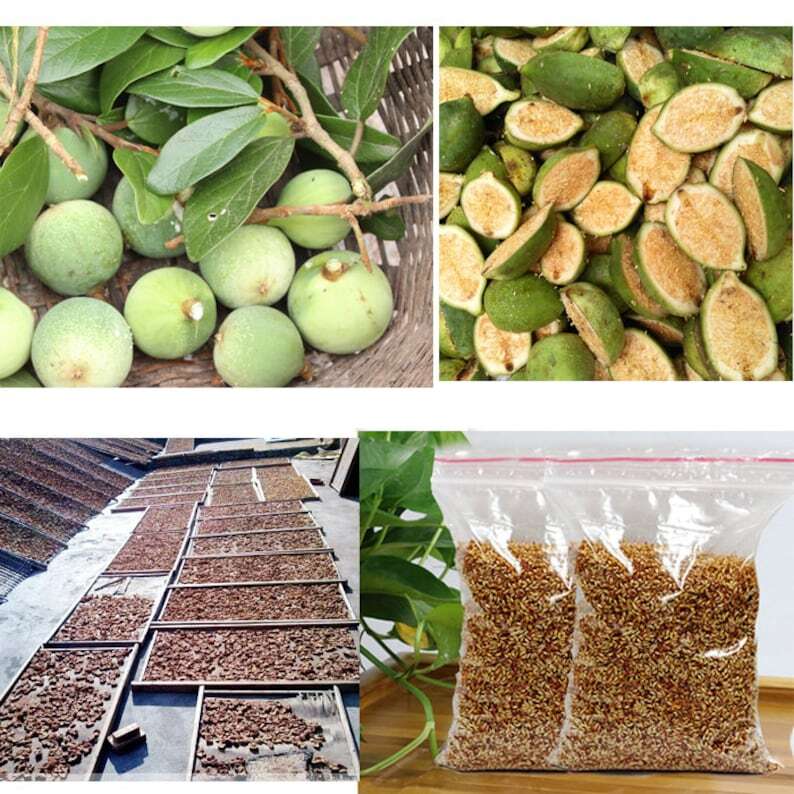 Nature Wild Aiyu Jelly Seed 愛玉子 Ai Yu Jelly Secondary image