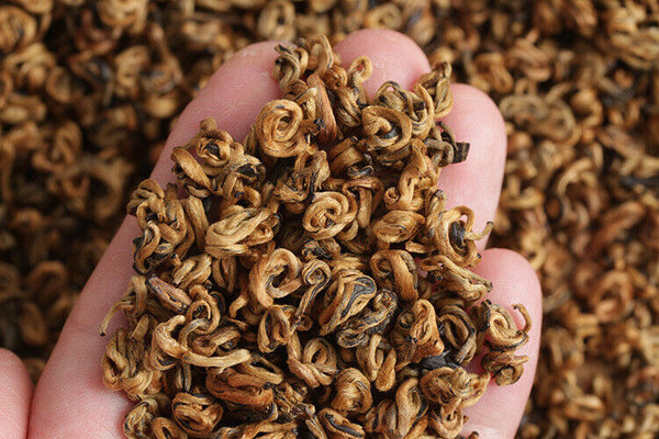HelloYoung 500g Yunnan black tea Fengqing Dian Hong Jin Luo (No. 2) early spring tea
