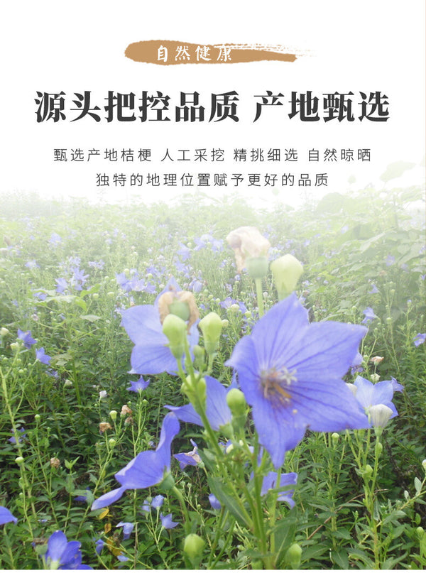 Premium Platycodon Grandiflorus Slices New Stock Direct Factory Price