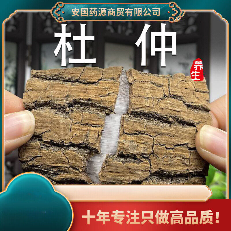 High Quality Eucommia Ulmoides Chinese Herbal Raw Eucommia Ulmoides Duzhong 杜仲