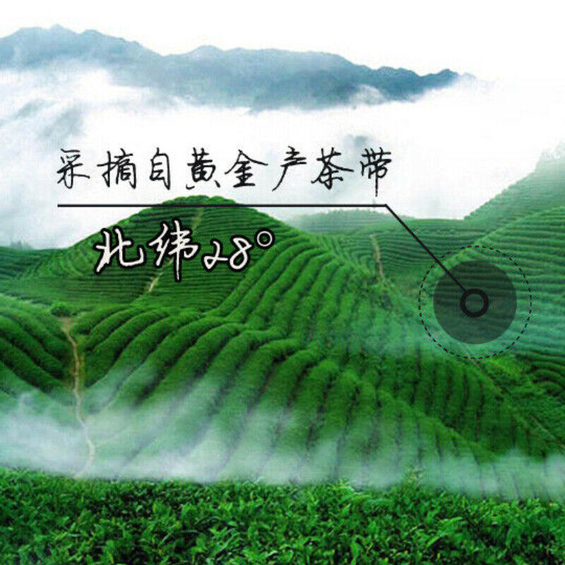 HelloYoung Healthy Drink Instant Assorted Black Tea Brick Anhua Fu Cha Dark Tea 240g