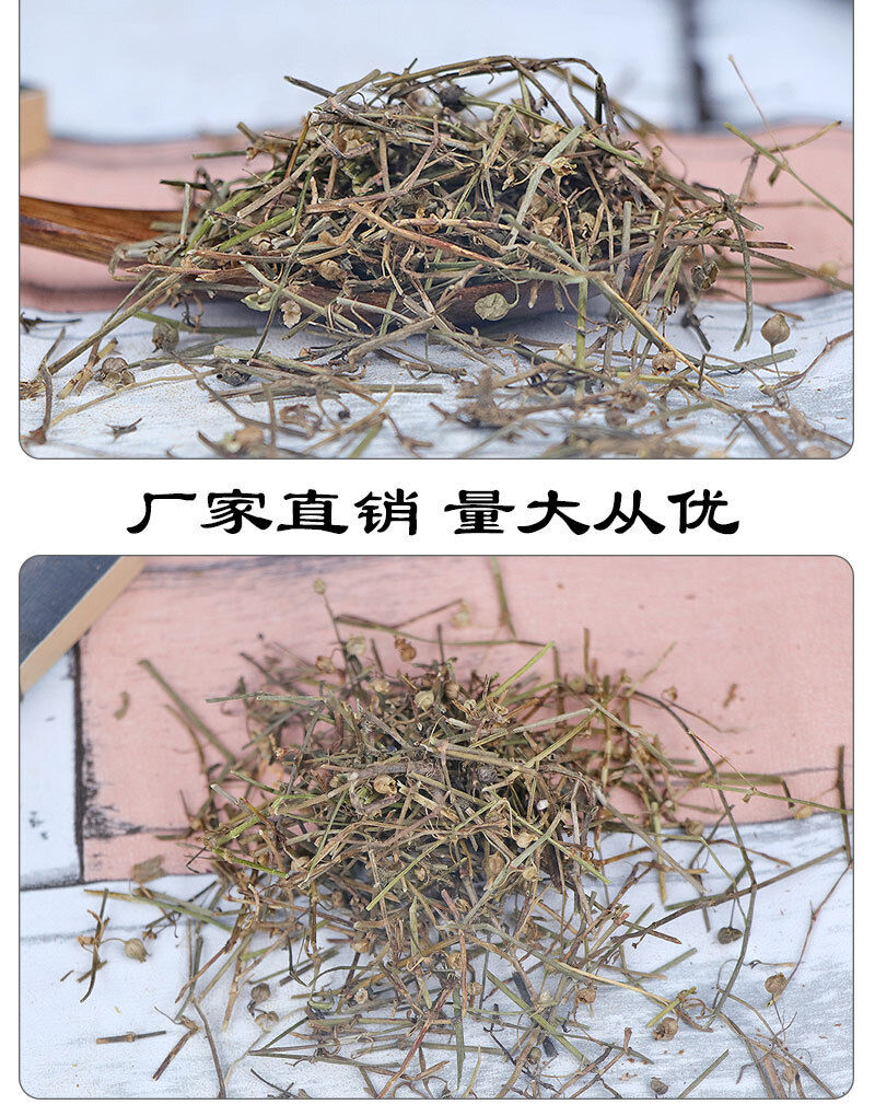 HelloYoung New Crocus sativus Herbal Medicine Crocus sativus Agricultural Product 500g