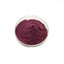 Bilberry Extract Powder 200g (4:1) - 25% Anthocyanins - Super Antioxidant