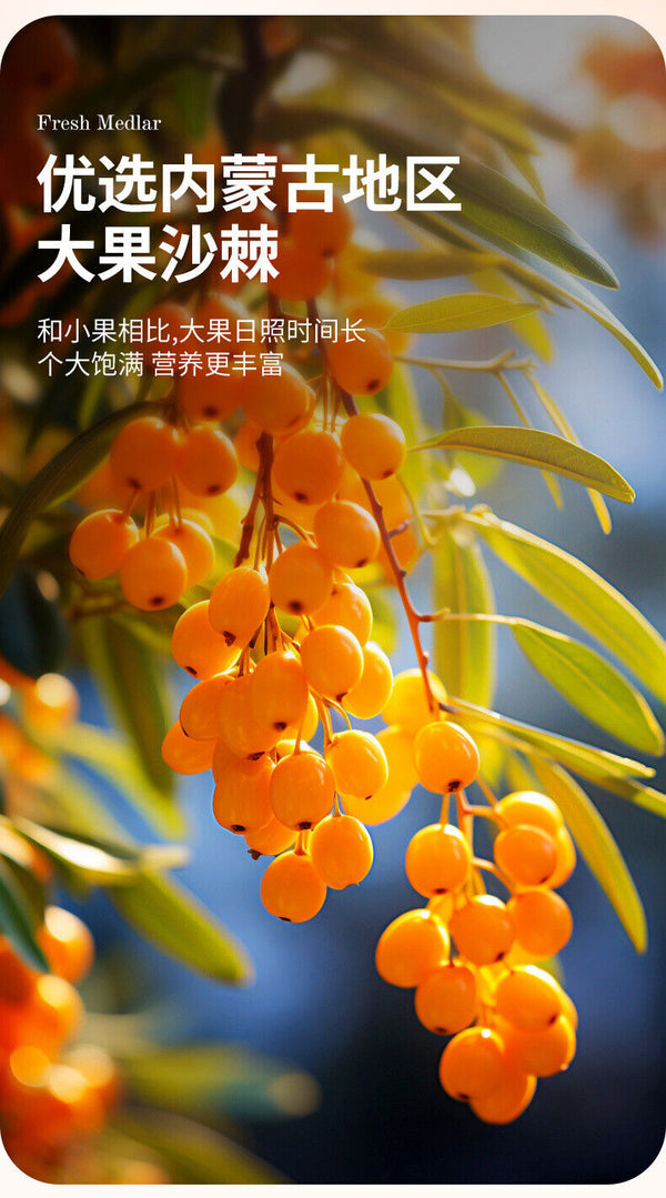 30ml x 5 packs of fresh seabuckthorn puree juice, a nutritious beverage
