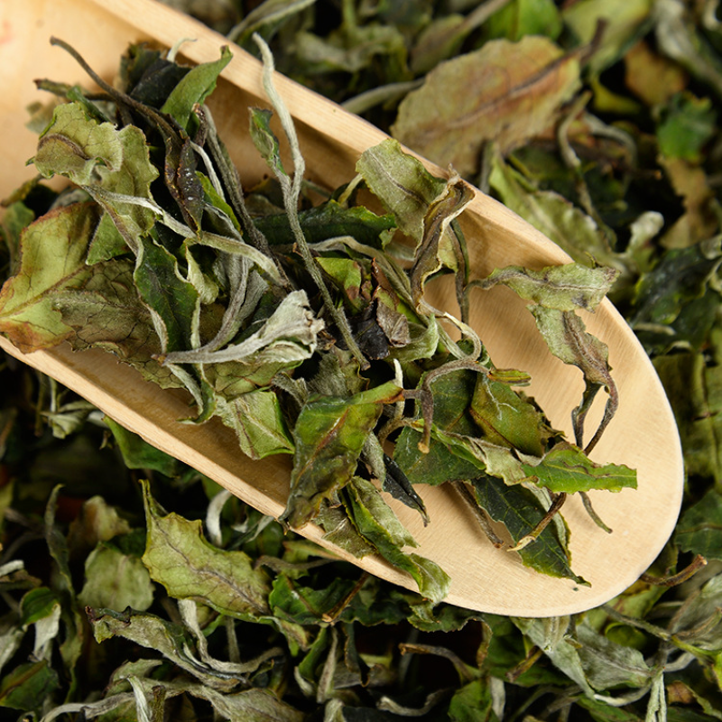 HelloYoung 500g Yunnan white tea early spring ancient Fuding white tea process white tea Main image
