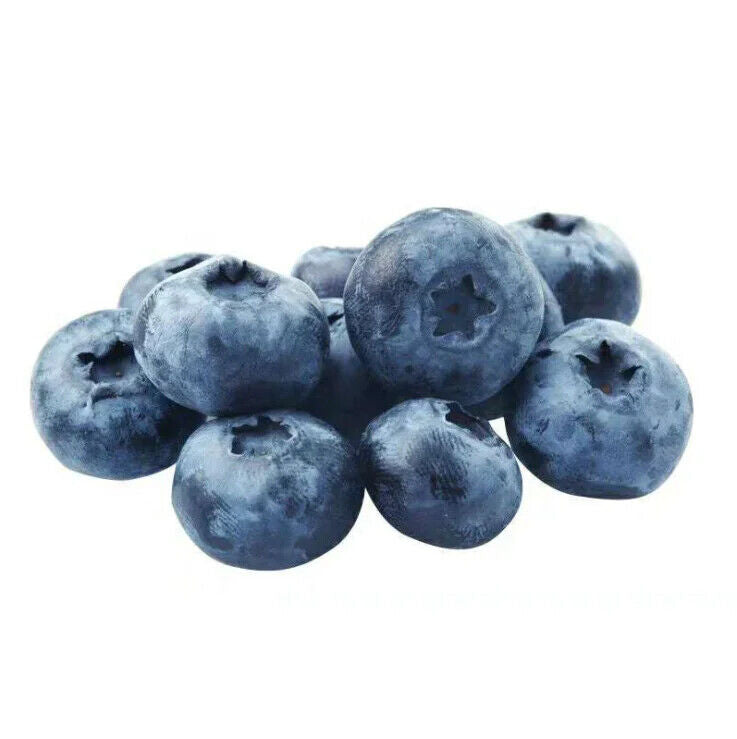 100% Natural Blueberry Fruit Powder Concentrate Powder Blueberry Juice Powder