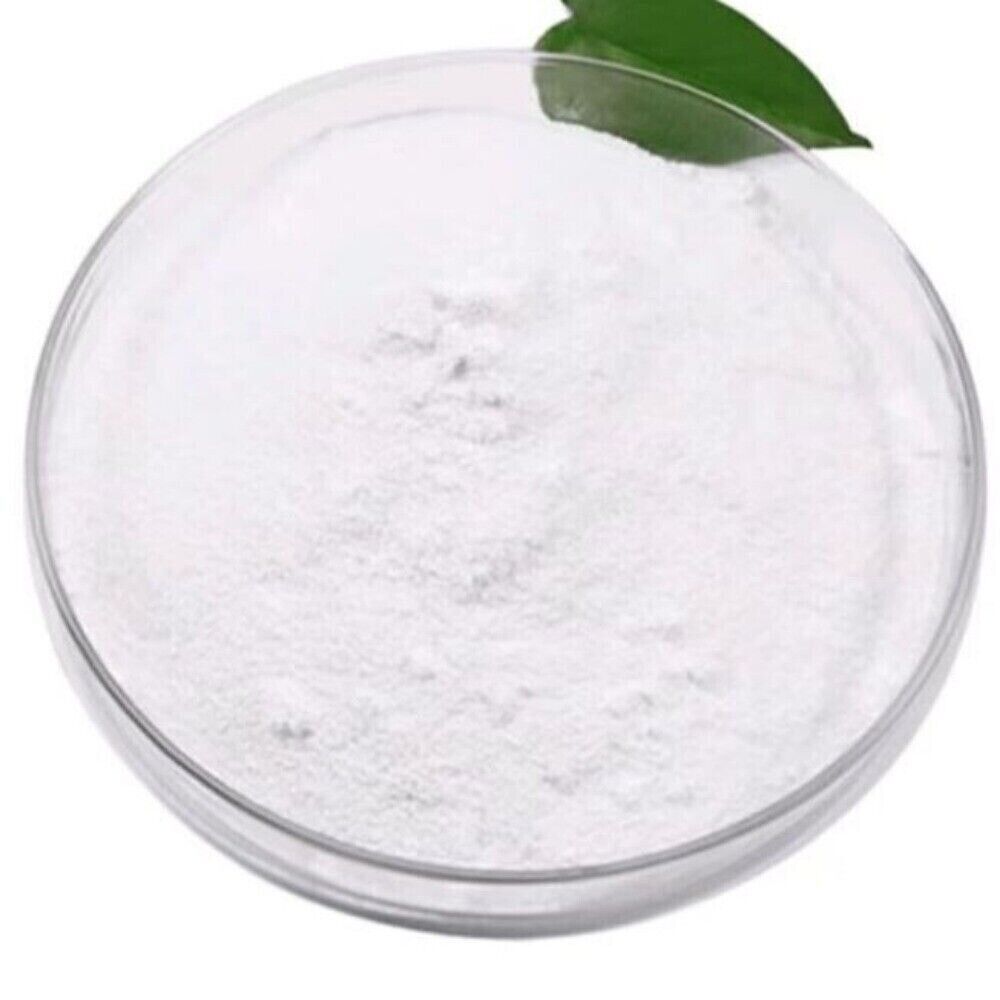 Food Grade White Birch Extract Powder Sap Concentrate Herbal Tea Premium Natural