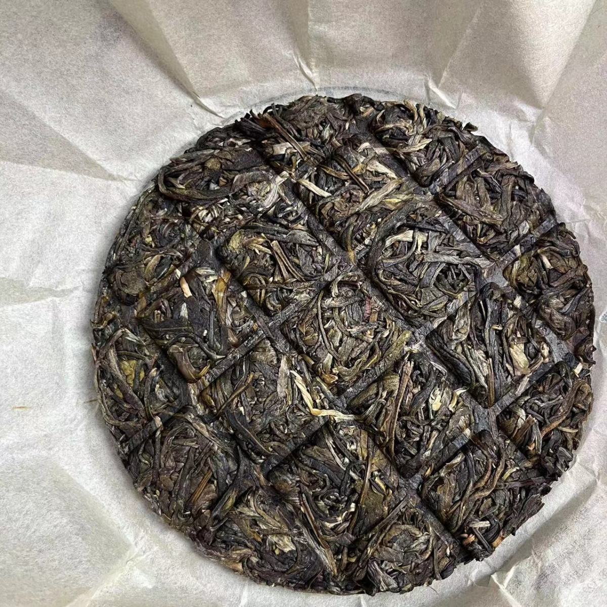 Pasha Big Tree Spring Tea Raw Tea Cake 100g