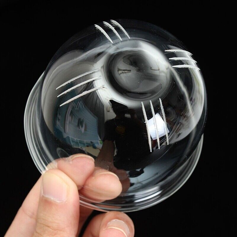 Teacup Tea Glass Cup Coffee Milk Cup with Tea Infuser Filter Lid Use for Home