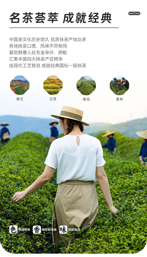 100g Drink for Tea Baking and Milk Tea Shops Pure Matcha Powder Instant