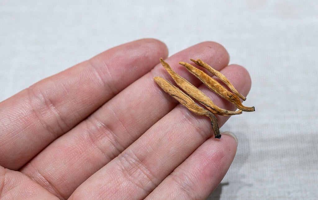 HelloYoung 500G Yunnan Black Tea Mini Gold Needle Fengqing Dian Hong Tea Small Gold Needle