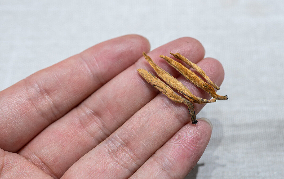 HelloYoung 500G Yunnan Black Tea Mini Gold Needle Fengqing Dian Hong Tea Small Gold Needle