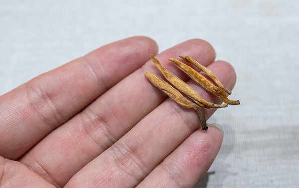 HelloYoung 500G Yunnan Black Tea Mini Gold Needle Fengqing Dian Hong Tea Small Gold Needle