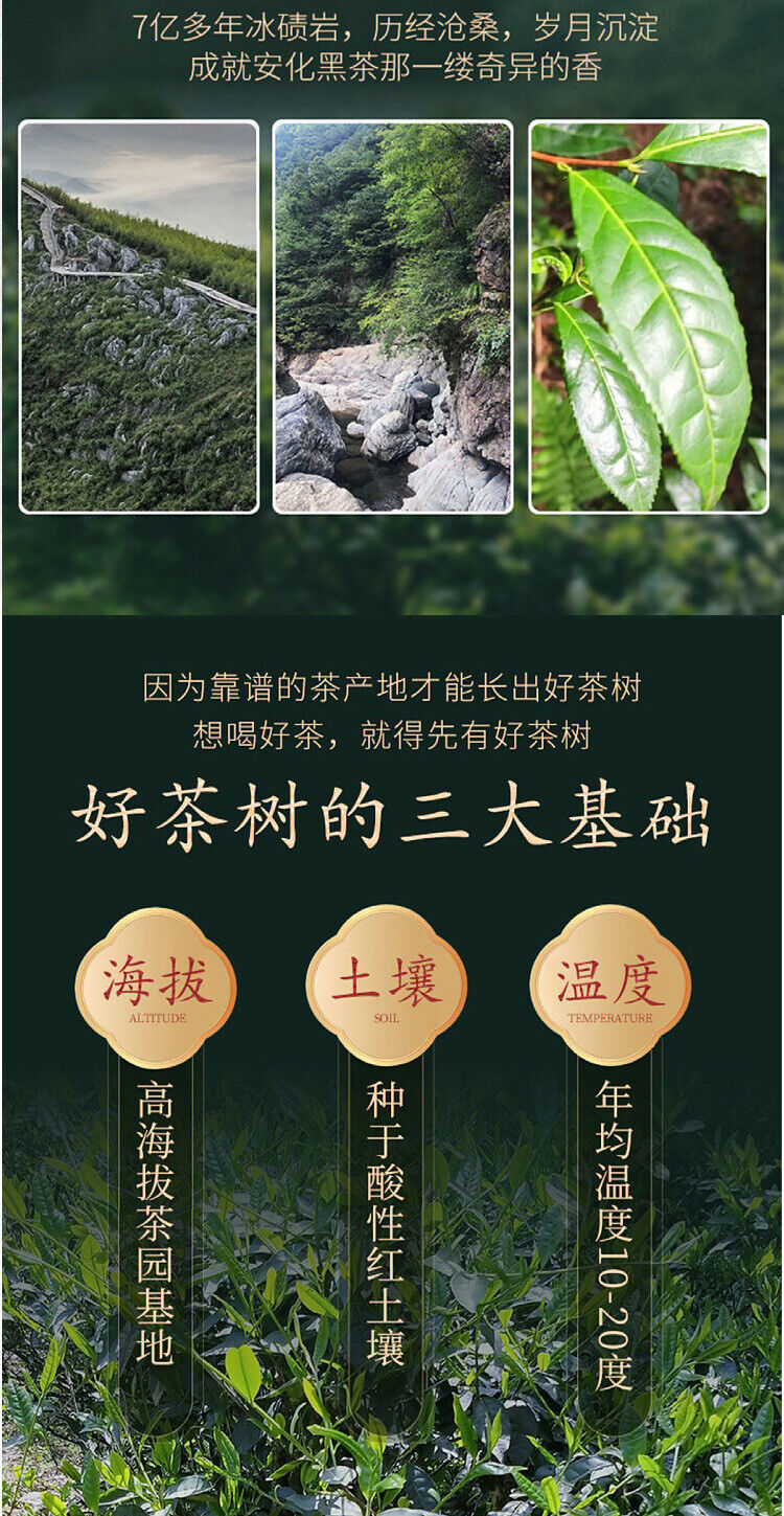 HelloYoung 1kg Anhua Black Tea Golden Flower Hand-Constructed Porcelain Brick Tea Tientsin