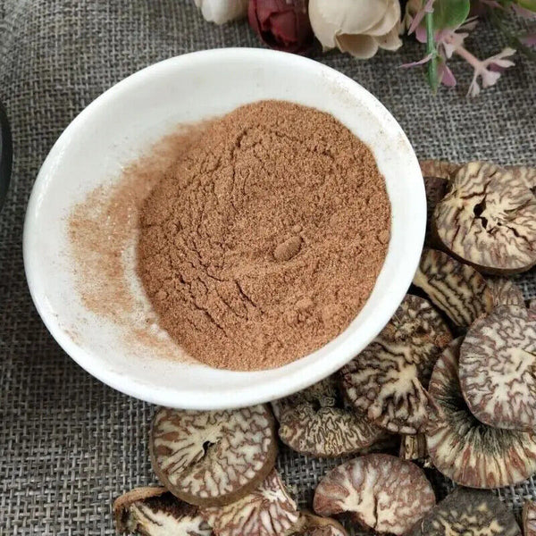 Bio frische Areca-Nuss Areca catechu Betelnuss getrocknete Nüsse gemahlen Pulver