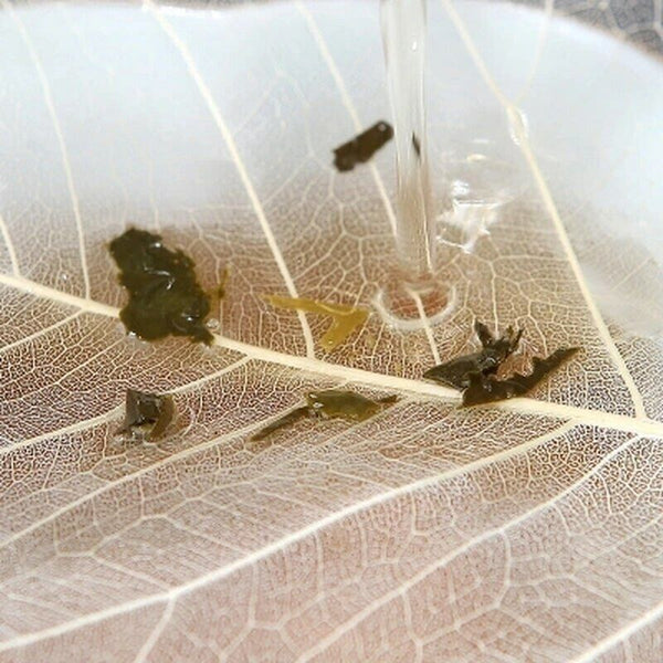 Leaf Tea Filter Creative Personality Bookmark Adornment Leaf Personality Filter