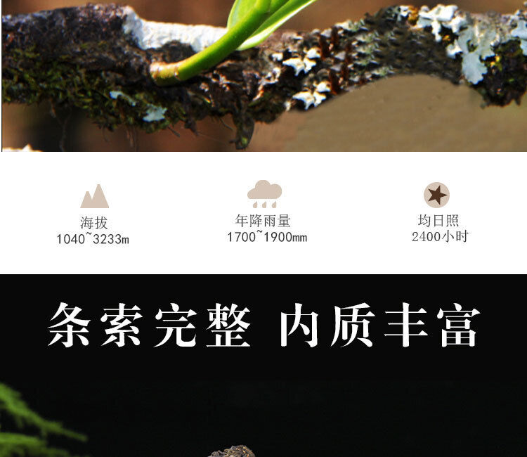 HelloYoung 1000g Yunnan Pu'er Tea Xigui Column Small Dragon Column Mini Bamboo Tube Raw Tea